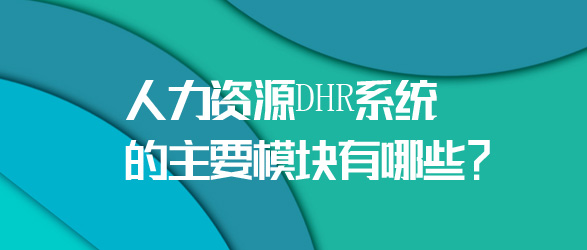 DHR系統(tǒng)的主要模塊