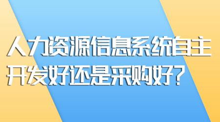 人力資源信息系統(tǒng)開發(fā)