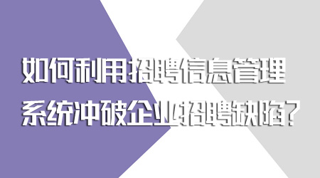 招聘信息管理系統(tǒng)