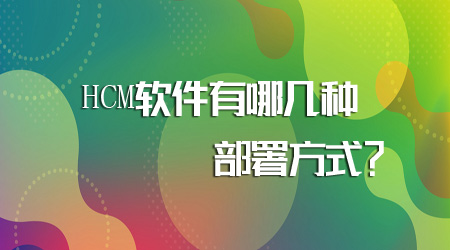 HCM軟件的部署方式