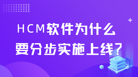 HCM軟件實(shí)施上線.png