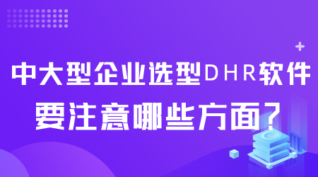 中大型企業(yè)選型DHR軟件.png