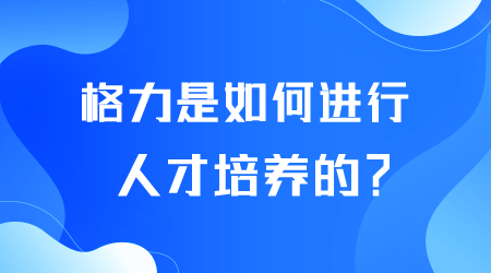 格力如何進(jìn)行人才培養(yǎng).png